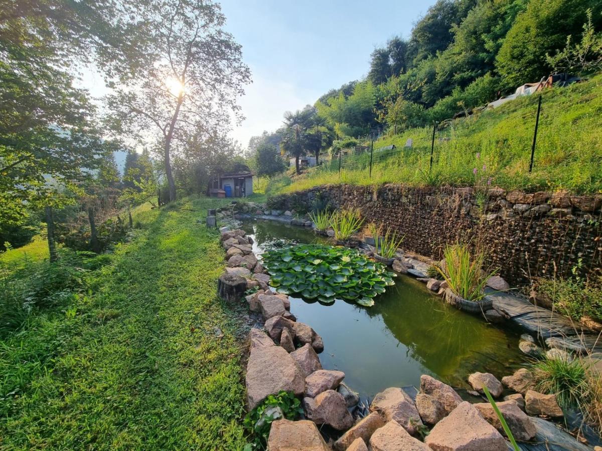 La Nave B&B Monteggio Bagian luar foto