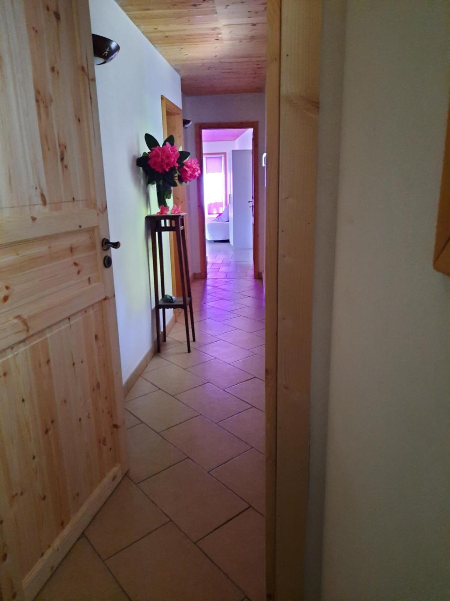 La Nave B&B Monteggio Bagian luar foto